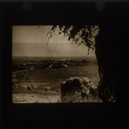 Böhl glass slide 61./1544